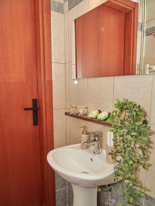 Florina Modern Studio المظهر الخارجي الصورة