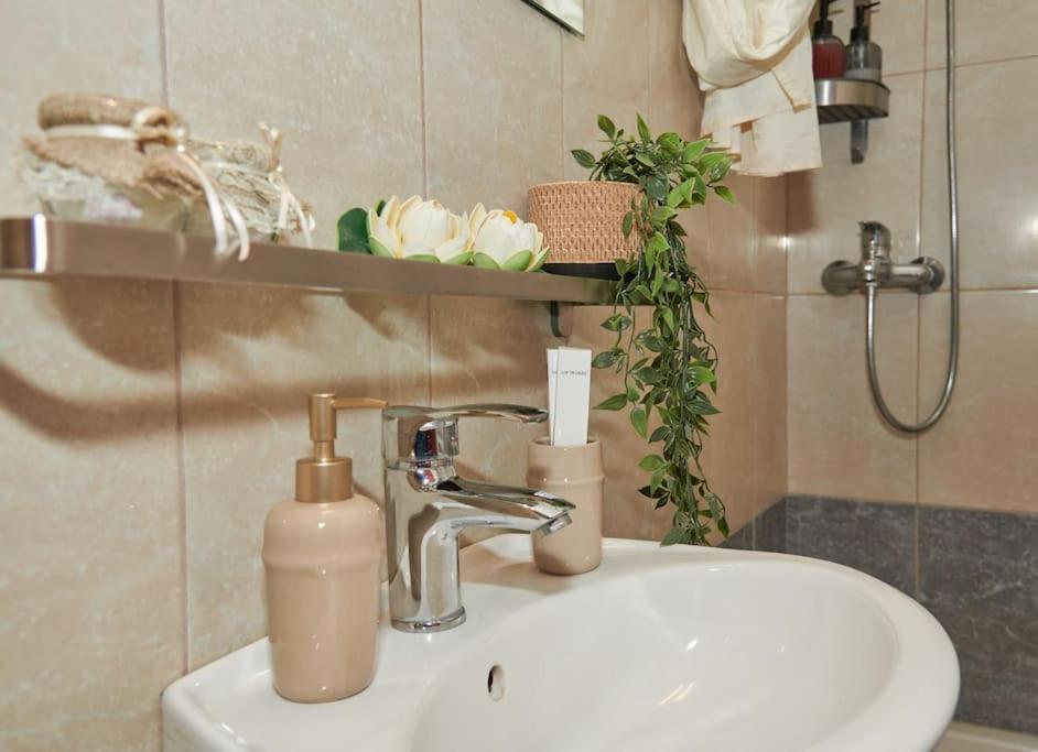 Florina Modern Studio المظهر الخارجي الصورة