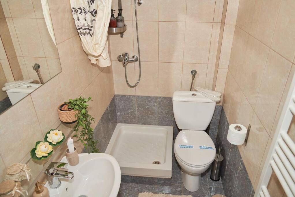 Florina Modern Studio المظهر الخارجي الصورة